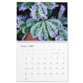 Kalender Schöne Natur (Jan 2027)