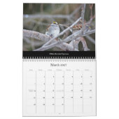 Kalender Schöne Vögel #1 (Mär 2027)