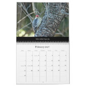 Kalender Schöne Vögel #1 (Feb 2027)