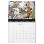 Kalender Schöne Vögel #1 (Jan 2027)