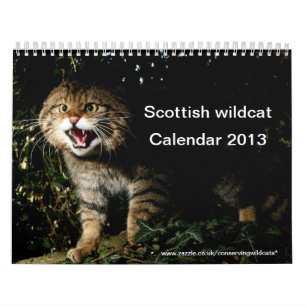Kalender - schottische Wildkatze