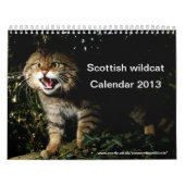 Kalender - schottische Wildkatze (Titelbild)