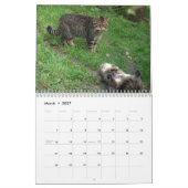Kalender - schottische Wildkatze (Mär 2027)