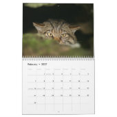 Kalender - schottische Wildkatze (Feb 2027)
