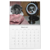 Kalender Shih Tzu (Mär 2027)