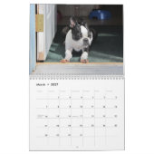 Kalender Shorty Keks-2013 (Mär 2027)