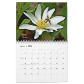 Kalender ~ Sind Sie Liebe Bugs? (Mär 2026)