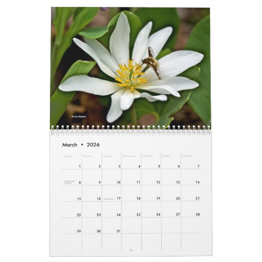 Kalender ~ Sind Sie Liebe Bugs? (Mär 2026)