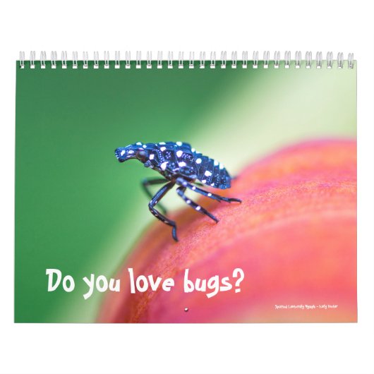Kalender ~ Sind Sie Liebe Bugs? (Titelbild)