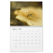 Kalender ~ Sind Sie Liebe Bugs? (Feb 2027)