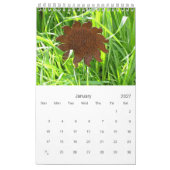 Kalender - Single - Garten - Blume (Jan 2027)