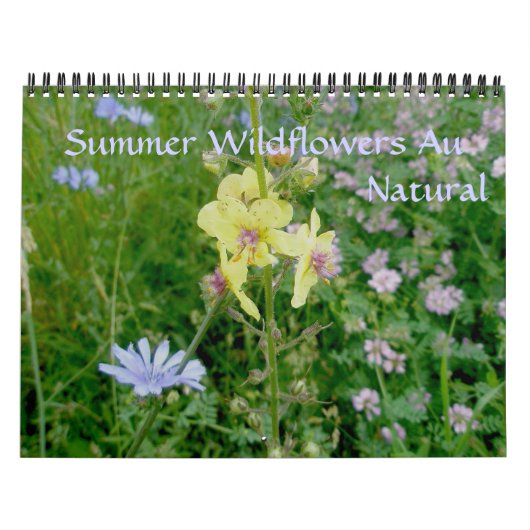 Kalender - Sommerliche Wildblumen (Titelbild)