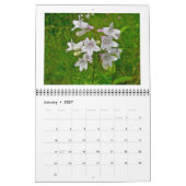 Kalender - Sommerliche Wildblumen (Jan 2027)