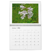 Kalender - Sommerliche Wildblumen (Jan 2026)