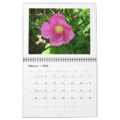 Kalender - Sommerliche Wildblumen (Feb 2026)