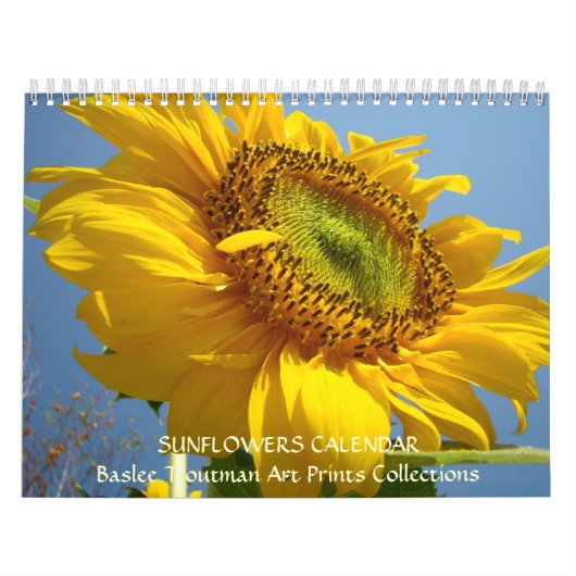 KALENDER Sonnenblume-Kalendersun-Blume (Titelbild)