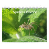 Kalender - Spider Galore (Titelbild)