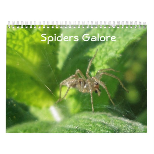 Kalender - Spider Galore (Titelbild)