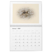 Kalender - Spider Galore (Jan 2027)