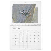 Kalender - Spider Galore (Feb 2027)