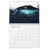 Kalender Sporttauchen-Floridas 2012 (Feb 2027)