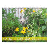 Kalender Steinhaufen-Terriers 2010 (Titelbild)