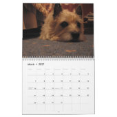 Kalender Steinhaufen-Terriers 2010 (Mär 2027)