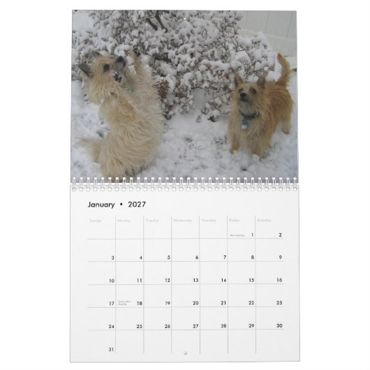 Kalender Steinhaufen-Terriers 2010 (Jan 2027)