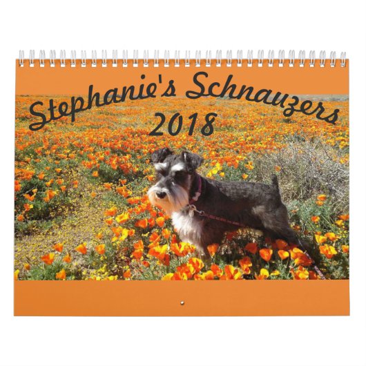 Kalender Stephanies Schnauzers-2018 (Titelbild)