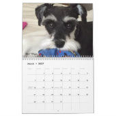 Kalender Stephanies Schnauzers-2018 (Mär 2027)
