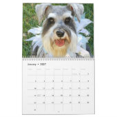 Kalender Stephanies Schnauzers-2018 (Jan 2027)
