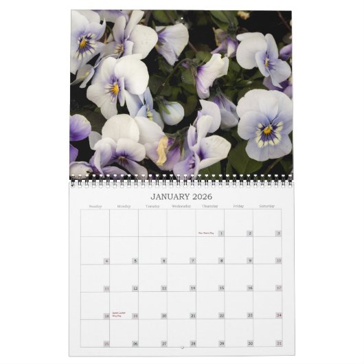 Kalender ~ Stiefmütterchen im Spiel (Jan 2026)