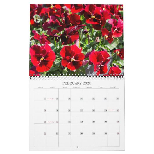 Kalender ~ Stiefmütterchen im Spiel (Feb 2026)