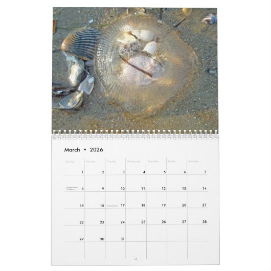 Kalender - Strandschätze (Mär 2026)