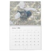 Kalender - Strandschätze (Jan 2026)