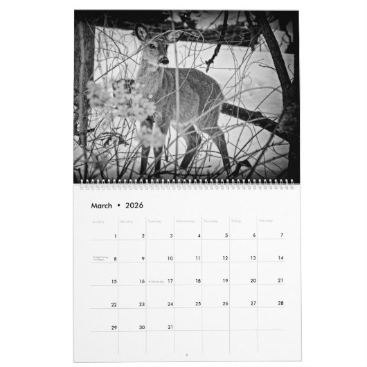 Kalender ~ Studien in Schwarz und Weiß (Mär 2026)