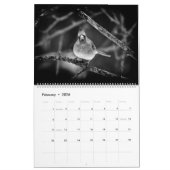 Kalender ~ Studien in Schwarz und Weiß (Feb 2026)