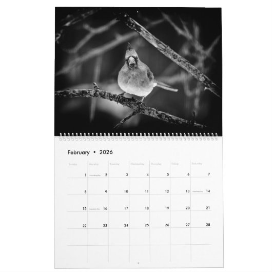 Kalender ~ Studien in Schwarz und Weiß (Feb 2026)