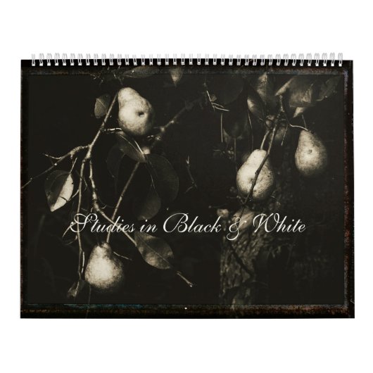 Kalender ~ Studien in Schwarz und Weiß (Titelbild)