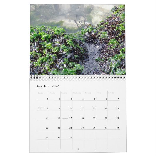 Kalender - Surf 'n Turf (Mär 2026)