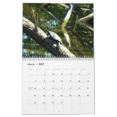 Kalender - Tiere und Vögel (Mär 2027)