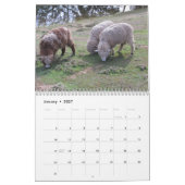 Kalender - Tiere und Vögel (Jan 2027)