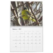 Kalender - Tiere und Vögel (Feb 2027)