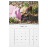 KALENDER TWINKIES (Jan 2027)
