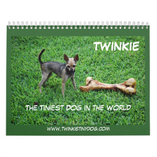 KALENDER TWINKIES