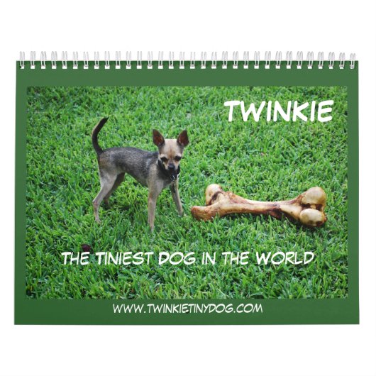 KALENDER TWINKIES (Titelbild)