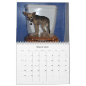 KALENDER TWINKIES (Mär 2026)