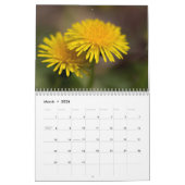 Kalender ~ Unsere schöne Welt #4 (Mär 2026)