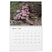 Kalender ~ Unsere schöne Welt #4 (Feb 2026)