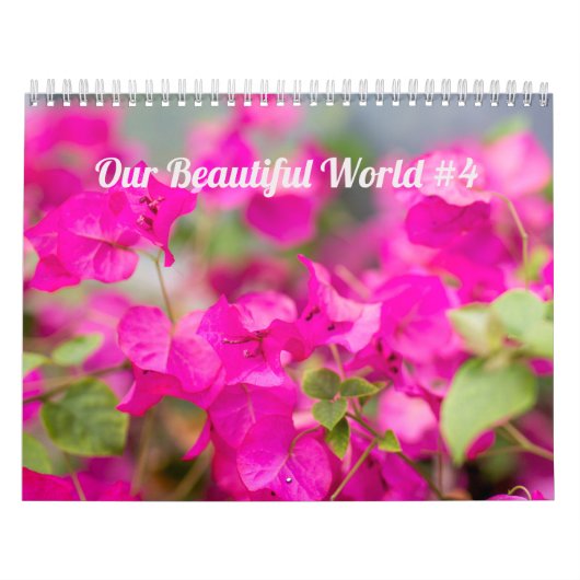 Kalender ~ Unsere schöne Welt #4 (Titelbild)